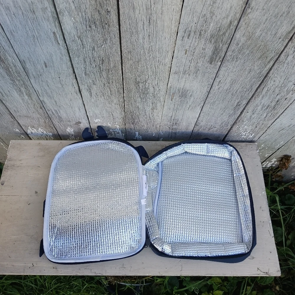 Thirty One 31 Chill-icious Thermal Lunch Bag SILLY STINKER Beetle Bug NEW